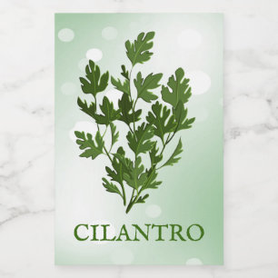 Cilantro Herbs Label Voedselcontainer Etiket
