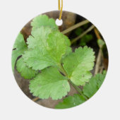 Cilantro Keramisch Ornament (Voorkant)