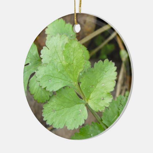 Cilantro Keramisch Ornament (Links)