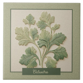 Cilantro Kruiden Keuken Decor Faux Reliëf Tegeltje