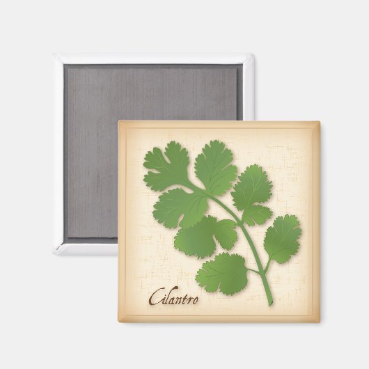 Cilantro Kruiden Magneet (Voorkant / Achterkant)