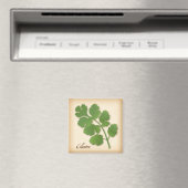Cilantro Kruiden Magneet (Insitu (Vaatwasser))