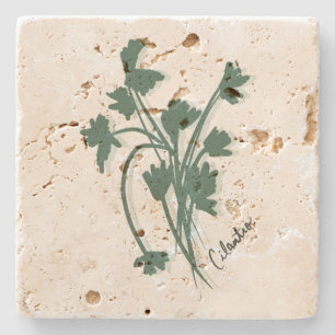 Cilantro-Kruidentuin Coriander Handgetekend  Stenen Onderzetter