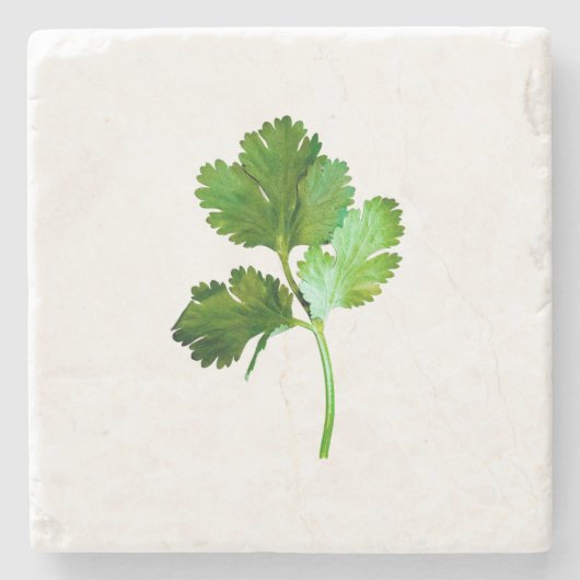Cilantro stenen onderzetter (Voorkant)