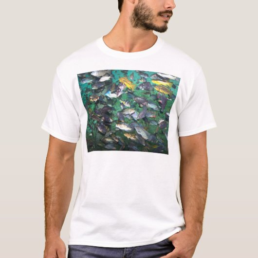 Cilliden, cichlids en nog meer cichlids! Vis! T-shirt (Voorkant)