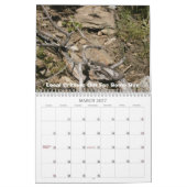 Cinbud's Gold Calendar Kalender (Mar 2027)
