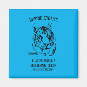 Cincinnati - magneet