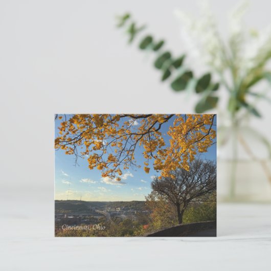 Cincinnati Park View Postcard Briefkaart (Staand voorkant)