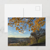 Cincinnati Park View Postcard Briefkaart (Voorkant / Achterkant)