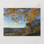 Cincinnati Park View Postcard Briefkaart (Voorkant)