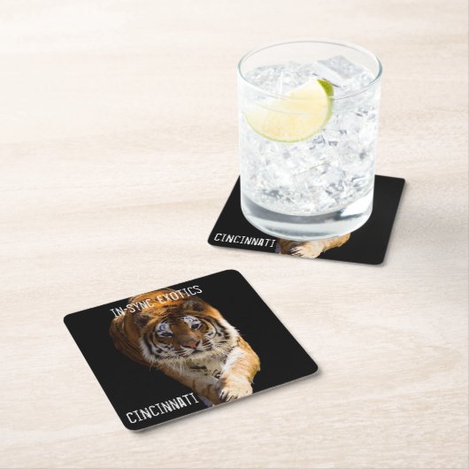 Cincinnati Tiger - Kartonnen Onderzetters (Insitu)