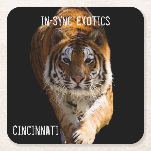 Cincinnati Tiger - Kartonnen Onderzetters (Voorkant)