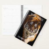 Cincinnati Tiger - Planner (Display)
