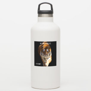 Cincinnati Tiger - Sticker