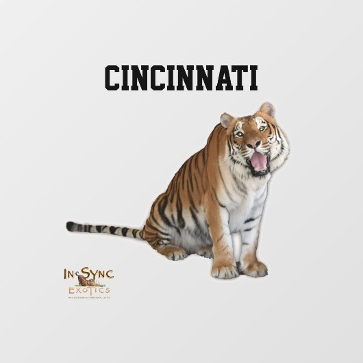 Cincinnati Window Cling Raamsticker (Vel)