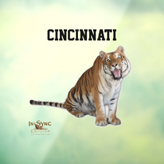 Cincinnati Window Cling Raamsticker