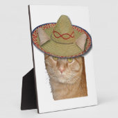 Cinco de Gato Fotoplaat (Zijkant)