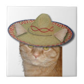 Cinco de Gato Tegeltje (Voorkant)