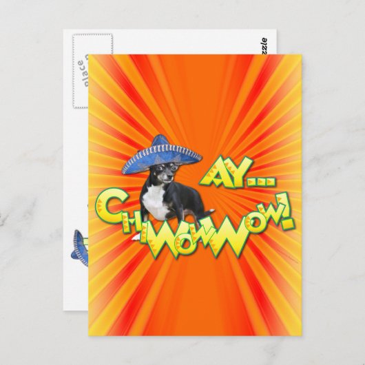 Cinco de Mayo - Ay ChWow! -Chihuahua Briefkaart (Voorkant / Achterkant)