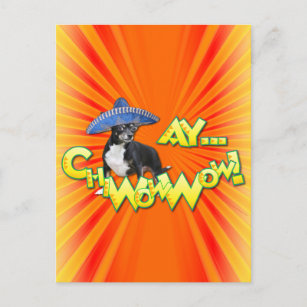 Cinco de Mayo - Ay ChWow! -Chihuahua Briefkaart