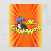 Cinco de Mayo - Ay ChWow! -Chihuahua Briefkaart (Voorkant)