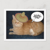 Cinco de Mayo Briefkaart (Voorkant)