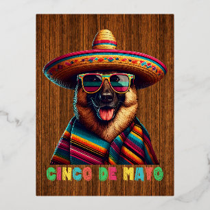 Cinco de Mayo Duitse Herder met Poncho Sombrero Folie Feestdagen Briefkaart