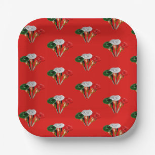 Cinco de mayo, fiesta mexican paper borden papieren bordje