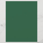 Cinco De Mayo Flyer (Achterkant)