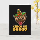 Cinco de Mayo Funny dog met sombrero Kaart (Gele Bloem)
