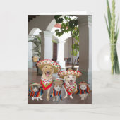  Cinco de Mayo Kaart (Voorkant)