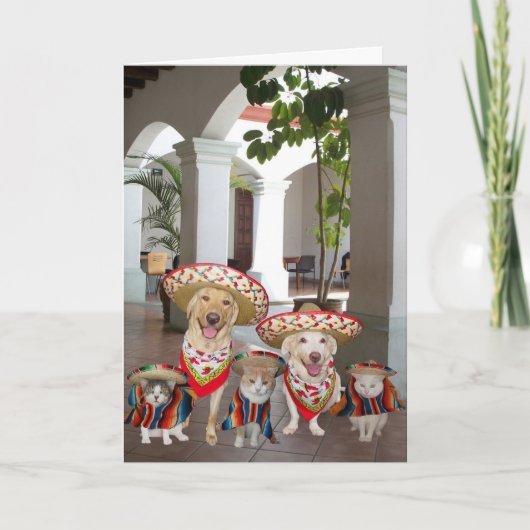 Cinco de Mayo Kaart (Voorkant)