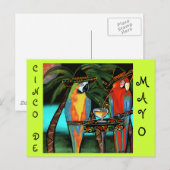 CINCO DE MAYO PARROTS BRIEFKAART (Voorkant / Achterkant)
