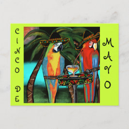 CINCO DE MAYO PARROTS BRIEFKAART