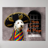 Cinco de Mayo Poster - Dog in Sombrero - Humor (Voorkant)