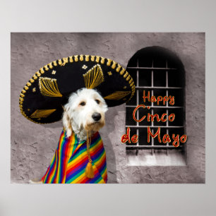 Cinco de Mayo Poster - Dog in Sombrero - Humor