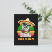 Cinco de Mayo sombrero Chihuahua met zonnebrillen Briefkaart (Staand voorkant)