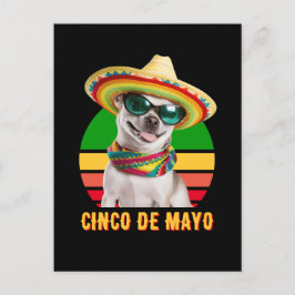 Cinco de Mayo sombrero Chihuahua met zonnebrillen Feestdagenkaart