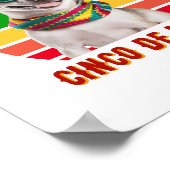 Cinco de Mayo sombrero Chihuahua met zonnebrillen Poster (Hoek)