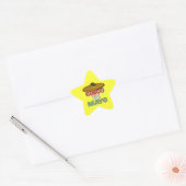 Cinco De Mayo Ster Sticker (Envelop)