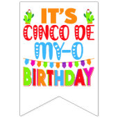 Cinco de Mayo verjaardag grappige woordspeling Vlaggetjes (Derde vlag)