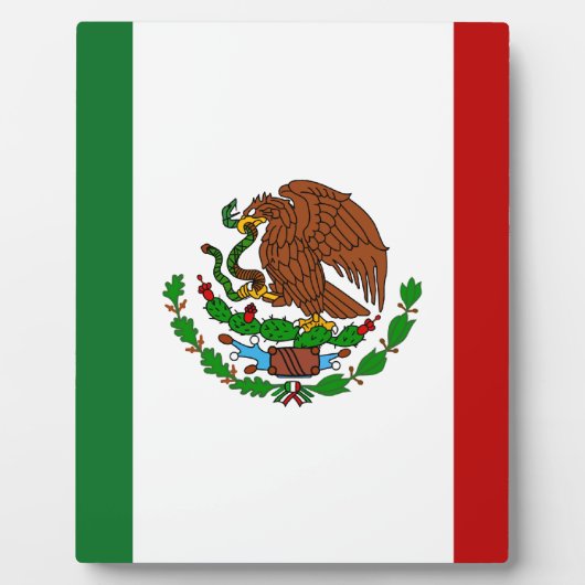 Cinco de Mayo Vlag van Mexico Fotoplaat (Voorkant)