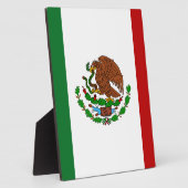 Cinco de Mayo Vlag van Mexico Fotoplaat (Zijkant)