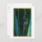 Cinder Cone in Lassen Volcanic National Park Briefkaart (Voorkant / Achterkant)