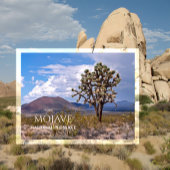 Cinder Cones, Joshua Tree, Mojave N Preserve, Cali Briefkaart