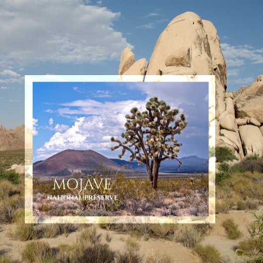 Cinder Cones, Joshua Tree, Mojave N Preserve, Cali Briefkaart