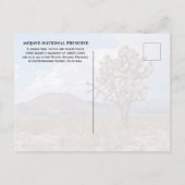Cinder Cones, Joshua Tree, Mojave N Preserve, Cali Briefkaart (Achterkant)