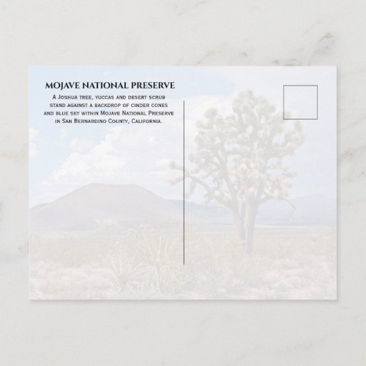 Cinder Cones, Joshua Tree, Mojave N Preserve, Cali Briefkaart (Achterkant)