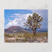Cinder Cones, Joshua Tree, Mojave N Preserve, Cali Briefkaart (Voorkant)