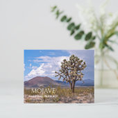 Cinder Cones, Joshua Tree, Mojave N Preserve, Cali Briefkaart (Staand voorkant)